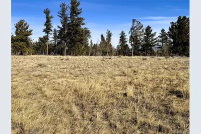 620 Wagon Wheel Road, Hartsel, CO 80449 - Photo 1