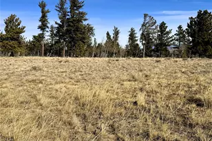 620 Wagon Wheel Rd, Hartsel, CO 80449 - Photo 1