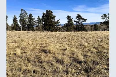 620 Wagon Wheel Road, Hartsel, CO 80449 - Photo 3