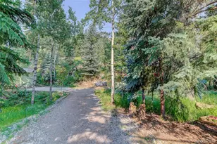 7361 Brook Forest Dr, Evergreen, CO 80439 - Photo 19