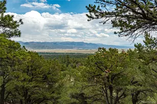 30177 Princeton Hills, Buena Vista, CO 81211 - Photo 49