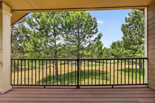 12857 Piney Lake Rd, Parker, CO 80138 - Photo 45