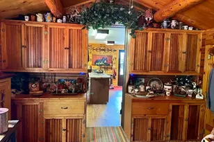 22585 Co Rd 292, Nathrop, CO 81236 - Photo 9