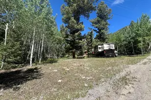 22585 Co Rd 292, Nathrop, CO 81236 - Photo 35