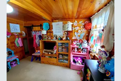 22585 County Road 292, Nathrop, CO 81236 - Photo 27