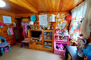 22585 Co Rd 292, Nathrop, CO 81236 - Photo 27