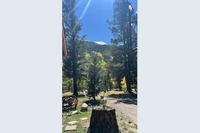 22585 County Road 292, Nathrop, CO 81236 - Photo 37