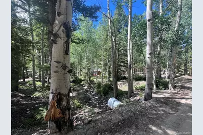 22585 County Road 292, Nathrop, CO 81236 - Photo 33