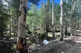 22585 Co Rd 292, Nathrop, CO 81236 - Photo 33