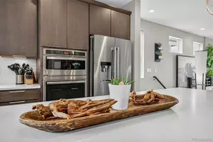 2597 Channel Dr, Highlands Ranch, CO 80129 - Photo 17