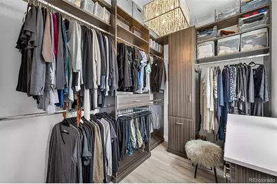 2597 Channel Drive, Highlands Ranch, CO 80129 - Photo 29