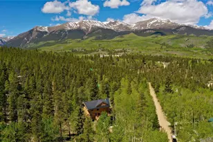 834 Lodgepole Dr, Leadville, CO 80461 - Photo 3