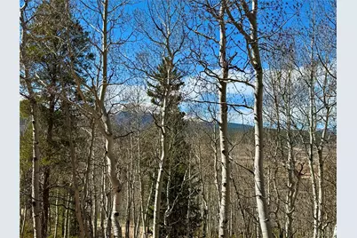 834 Lodge Pole Drive, Leadville, CO 80461 - Photo 37