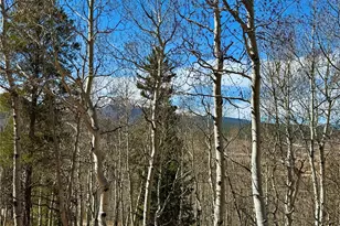 834 Lodgepole Dr, Leadville, CO 80461 - Photo 37