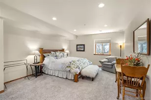 2561 Marlin Way, Castle Rock, CO 80109 - Photo 37