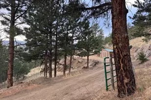 1049 Spencer Mountain Rd, Bellvue, CO 80512 - Photo 1