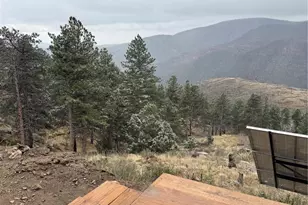1049 Spencer Mountain Rd, Bellvue, CO 80512 - Photo 33