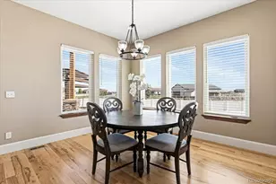 29205 E 165th Ave, Brighton, CO 80603 - Photo 15