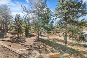 947 Sleepy Hollow Dr, Bailey, CO 80421 - Photo 23