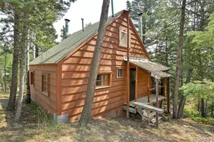 114 Mt Powderhorn Ln, Florissant, CO 80816 - Photo 15
