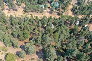 114 Mt Powderhorn Ln, Florissant, CO 80816 - Photo 33