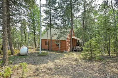 114 Mt Powderhorn Lane, Florissant, CO 80816 - Photo 17