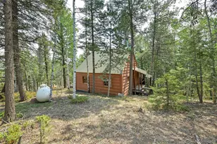 114 Mt Powderhorn Ln, Florissant, CO 80816 - Photo 17