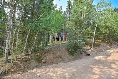 114 Mt Powderhorn Lane, Florissant, CO 80816 - Photo 23