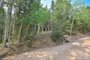 114 Mt Powderhorn Ln, Florissant, CO 80816 - Photo 23