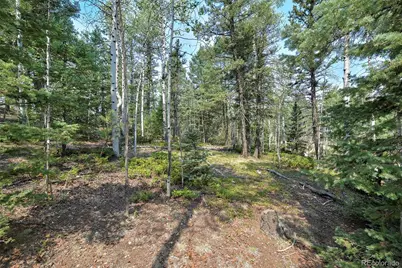 114 Mt Powderhorn Lane, Florissant, CO 80816 - Photo 19