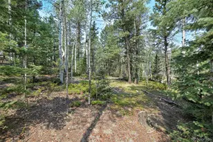 114 Mt Powderhorn Ln, Florissant, CO 80816 - Photo 19