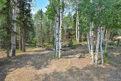 114 Mt Powderhorn Lane, Florissant, CO 80816 - Photo 21