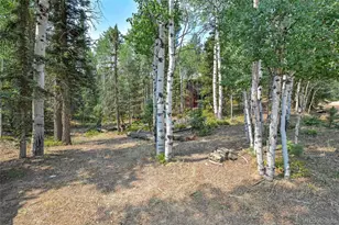 114 Mt Powderhorn Ln, Florissant, CO 80816 - Photo 21