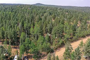 114 Mt Powderhorn Ln, Florissant, CO 80816 - Photo 27