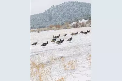 640 County Road 571, Gardner, CO 81040 - Photo 11