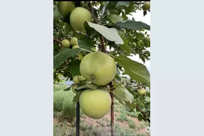 640 County Road 571, Gardner, CO 81040 - Photo 43