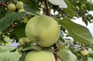 640 County Road 571, Gardner, CO 81040 - Photo 43