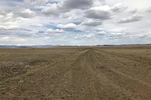 000 Black Beaver Circle, Hartsel, CO 80449 - Photo 7