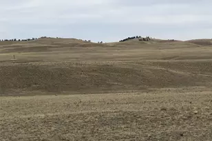 000 Black Beaver Circle, Hartsel, CO 80449 - Photo 3