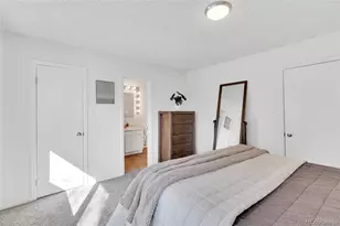 7165 S Vine Circle, Centennial, CO 80122 - Photo 19