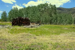 340 Cr90, Lake George, CO 80827 - Photo 19