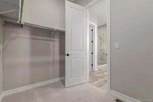 467 Scrubjay Trl, Castle Rock, CO 80104 - Photo 23