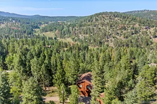 13596 Ponderosa Dr, Conifer, CO 80433 - Photo 39