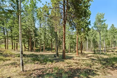 13596 Ponderosa Drive, Conifer, CO 80433 - Photo 37