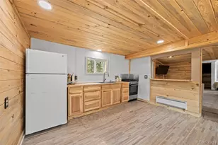 15535 S Elk Creek Rd, Pine, CO 80470 - Photo 13