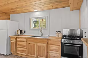 15535 S Elk Creek Rd, Pine, CO 80470 - Photo 15