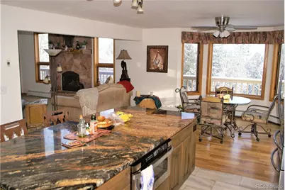 31371 Shadow Mountain Drive, Conifer, CO 80433 - Photo 7