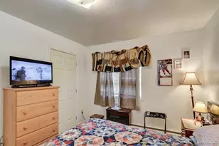329 Crossman Ave, Buena Vista, CO 81211 - Photo 15