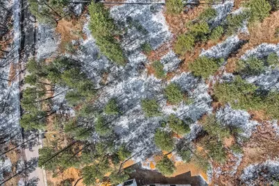 665 Copper Fox Place, Larkspur, CO 80118 - Photo 15