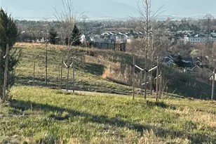 11463 W 53rd Pl, Arvada, CO 80002 - Photo 41